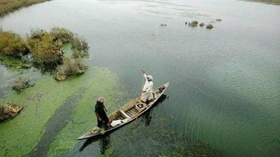 حملة مكبرة على مراكب الصيد واللنشات  بالقليوبية