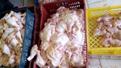ضبط دواجن وهياكل غير صالحة للاستهلاك فى الاسكندرية