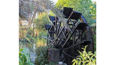 إعادة فتح المزارات السياحية والأثرية بالفيوم