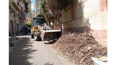 رفع 30 طن مخلفات متنوعة من شوارع وسط الإسكندرية