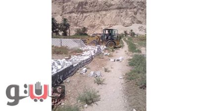 إزالة 117 حالة تعد على الرقعة الزراعية بمساحة 5 أفدنة | صور