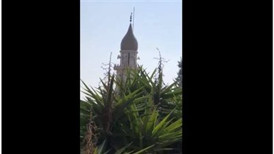 مسجد لبناني يبث أغنية لنوال الزغبي