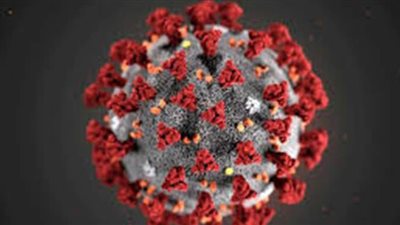 كورونا في الخريف.. يعيش على الأسطح الخارجية لفترة أطول.. فيروسات الجهاز التنفسي أعلى نشاطا في الأشهر الباردة.. بدران يتوقع تحالفا بين كورونا والإنفلونزا