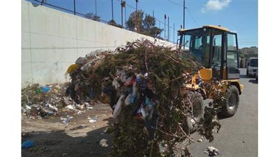 رفع 35 طن مخلفات للأشجار بشوارع وسط الإسكندرية