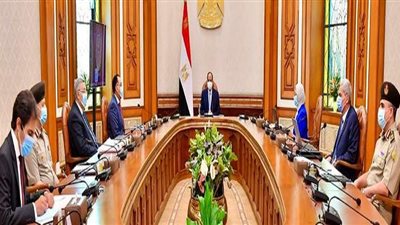 5 عوامل ساهمت فى عبور الدولة تداعيات أزمة كورونا