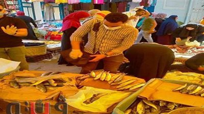 إعدام 344 كيلو أغذية فاسدة و100 لتر بوظة وعصائر بالشرقية | صور