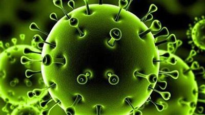 الصحة العالمية تعلن تحقيق عدد من الدول صفر إصابات بفيروس كورونا