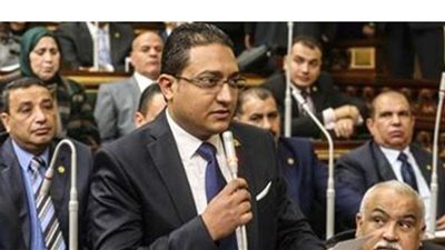 نائب يطالب برقابة صارمة على دور الأيتام وتقييم شامل للعاملين