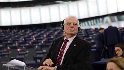 الاتحاد الأوروبي: مصر تلعب دورًا رئيسياً في المنطقة.. وتجمعنا شراكة قوية