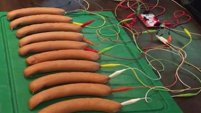 هاكر ألماني يخترع بيانو عن طريق قطع النقانق| صور