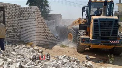 استرداد 101 فدان أملاك دولة وأراضى زراعية  بالشرقية | صور