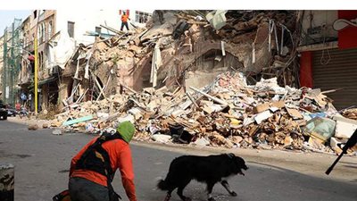 لحظة البحث عن 