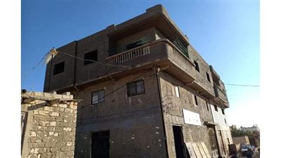 حي العامرية بالأسكندرية يتصدى للبناء المخالف | صور