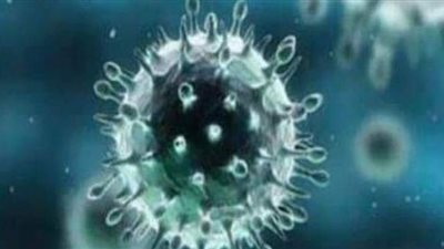 القليوبية تسجل صفر  إصابة  بفيروس كورونا اليوم