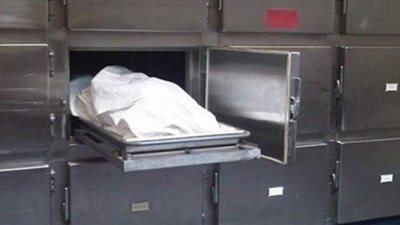 مصرع ٣ أشخاص إثر انقلاب سيارة في ترعة المنصورية بطريق 