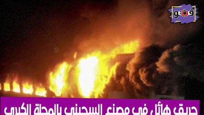 حريق هائل في مصنع السجيني بالمحلة الكبرى | فيديو