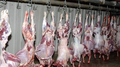 اسعار اللحوم والاسماك فى السلاسل التجارية