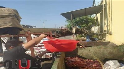 ضبط وإعدام ١٣ طن أغذية فاسدة بالشرقية | صور