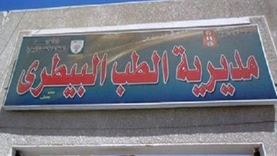 إعدام ذبيحة تزن 400 كيلو مصابة بمرض السل في المنيا