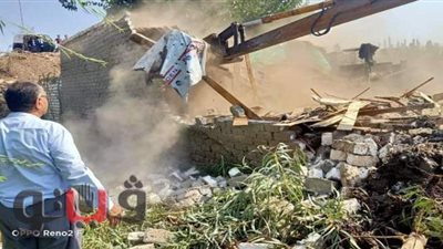 إزالة 10 تعديات على نهر النيل في الغربية | صور