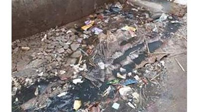 مياه الصرف الصحي تغرق ٢٣ شارعًا في المطرية والأهالي يستغيثون | صور