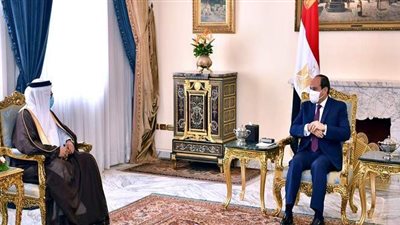 السيسي يستقبل وزير خارجية البحرين ويتابع تطوير قرى الريف المصري | فيديو