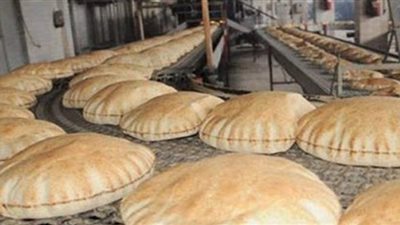 ضبط 12 مخبزاً مخالفاً في حملة مكبرة بكوم حمادة في البحيرة