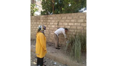 صحة قنا: تكثيف أعمال مكافحة ناقلات الأمراض المعدية | صور