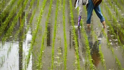 «زراعة الشرقية»  تكشف بالتفاصيل إنجازات إدارة الإرشاد الزراعي