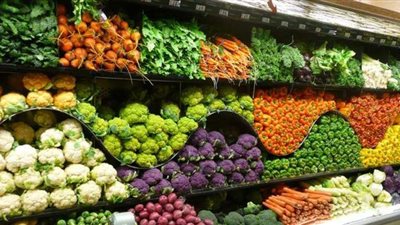 الزراعة: صادرات مصر الزراعية تغزو العالم برغم كورونا | فيديو