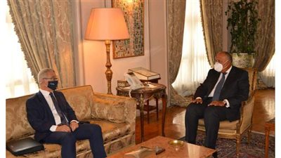 سامح شكري يبحث عددا من القضايا المشتركة مع وزير خارجية مالطا