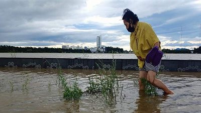 إجلاء أكثر من 3 ملايين شخص باليابان  بسبب إعصار 