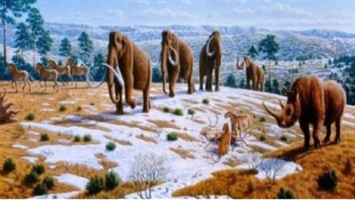 دراسة: البشر مسئولون عن اختفاء 96% من الحيوانات المنقرضة