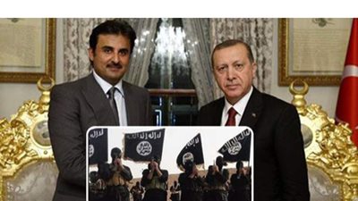 باحث: الدوحة تمول المشاريع غير العربية في المنطقة للتضييق على مصر والسعودية ‏