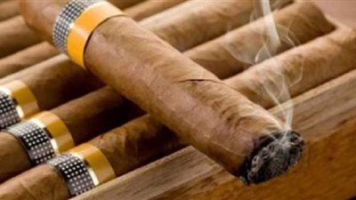 بعد رفع أسعار السيجار.. تعرف على نسب المدخنين له