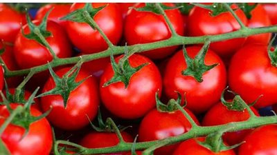 أسعار الخضروات والفاكهة اليوم الإثنين.. الطماطم تسجل 5 جنيهات | فيديو