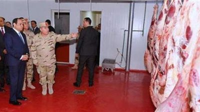 12 معلومة عن جهود الدولة لتنمية الثروة الحيوانية وتعظيم منتجاتها