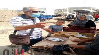 إعدام 600كيلو أغذية فاسدة وغلق ٤ منشآت بدون ترخيص بالشرقية l صور