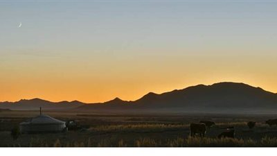 منغوليا تعلن ثالث وفاة جراء الطاعون الدبلي