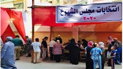 إقبال من كبار السن والسيدات على التصويت في جولة الإعادة للشيوخ بأسوان | فيديو