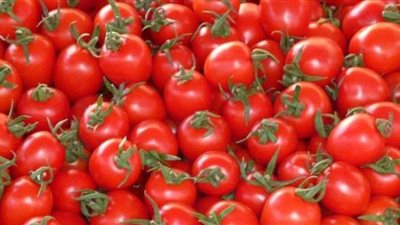 الطماطم تسجل 5 جنيهات فى الأسواق | فيديو