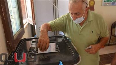 مواطنون يدلون بأصواتهم  في جولة الإعادة لانتخابات مجلس الشيوخ بالكمامات الطبية| صور