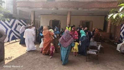 طوابير للسيدات أمام لجان إعادة انتخابات الشيوخ  بالقليوبية | صور