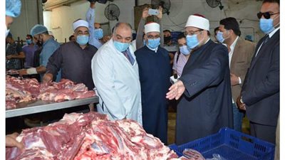 جمعة يتفقد تجهيز لحوم الأضاحي بمجزر البساتين | صور