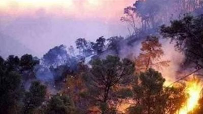 فيضانات وحرائق  وأمطار.. كوارث هزت العالم بأسبوع واحد في 2020