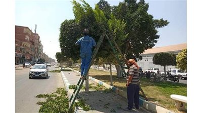 استمرارا  أعمال النظافة بحي ثالث بالإسماعيلية | صور