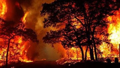 اليونان تخلي  أكبر مخيم للاجئين في أوروبا بسبب الحرائق