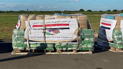 مستجدات دعم مصر لجنوب السودان.. أبرزها وصول الطائرة الثانية من المساعدات | صور