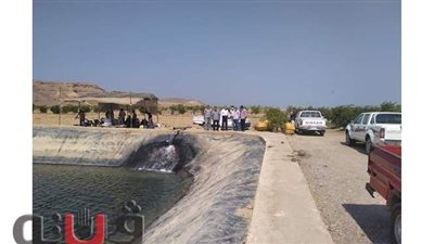 رئيس مدينة القصير يتفقد مزرعة القويح النموذجية لمتابعة مراحل الإنتاج | صور