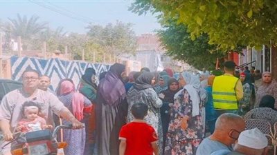 تزايد أعداد الناخبين في الساعات الأخيرة لإعادة انتخابات الشيوخ بالقليوبية